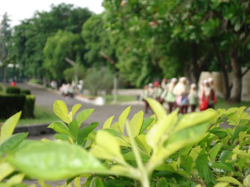 DSC00129